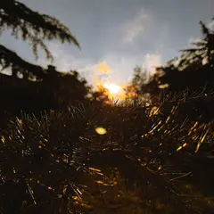 Dumbarton Oaks Gardens 14