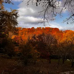 Dumbarton Oaks Gardens 6