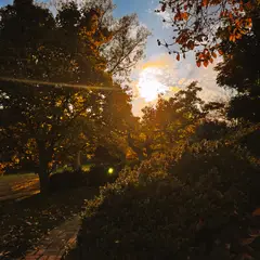 Dumbarton Oaks Gardens 17