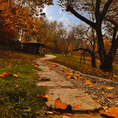 Dumbarton Oaks Gardens 9