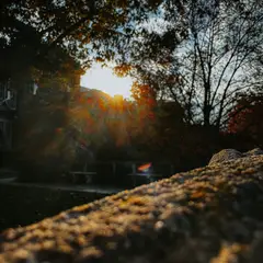 Dumbarton Oaks Gardens 16