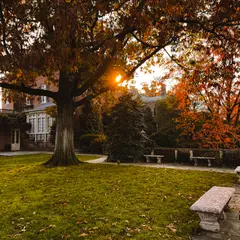 Dumbarton Oaks Gardens 15