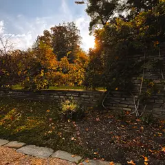 Dumbarton Oaks Gardens 13