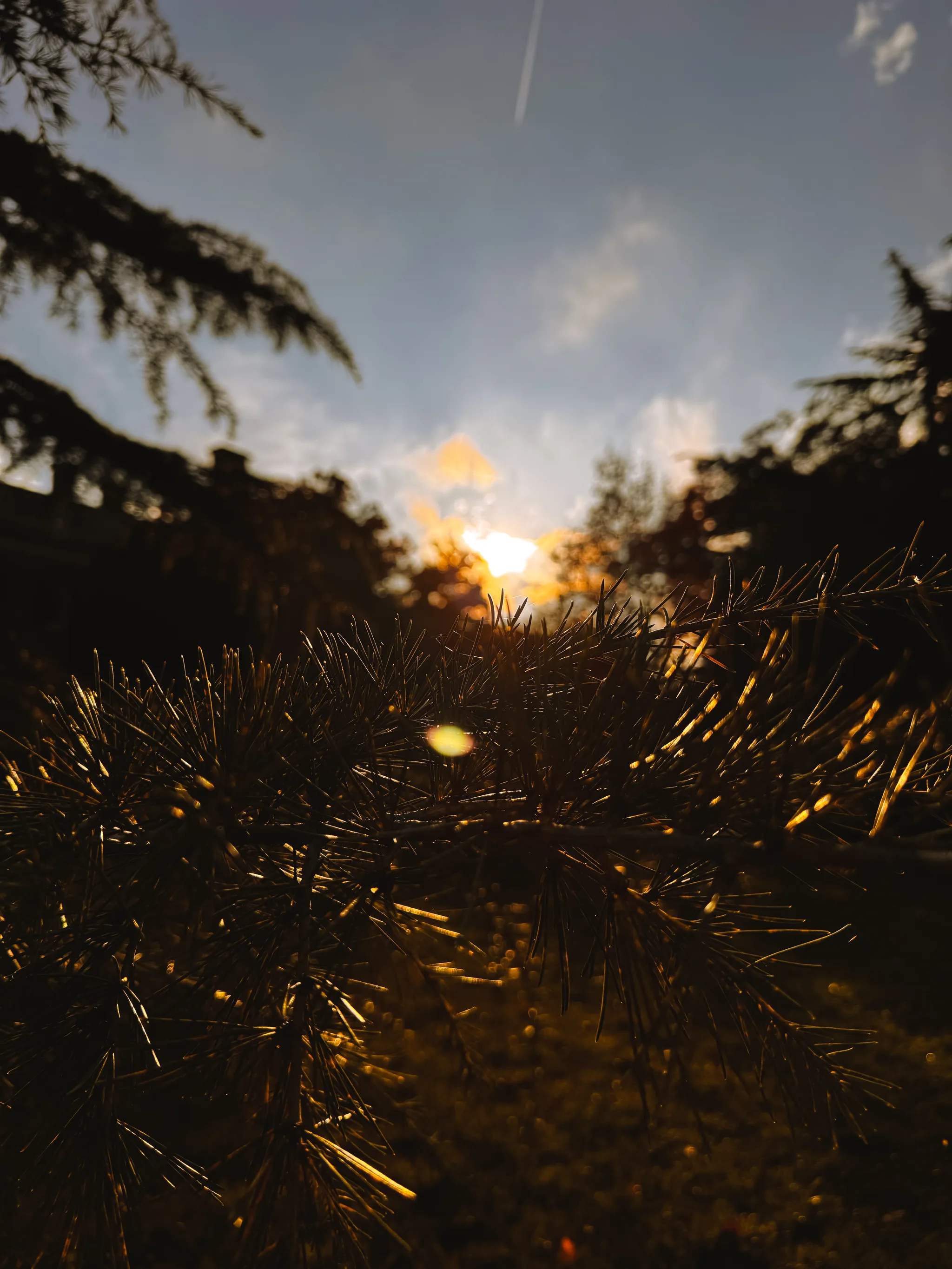 Dumbarton Oaks Gardens 14