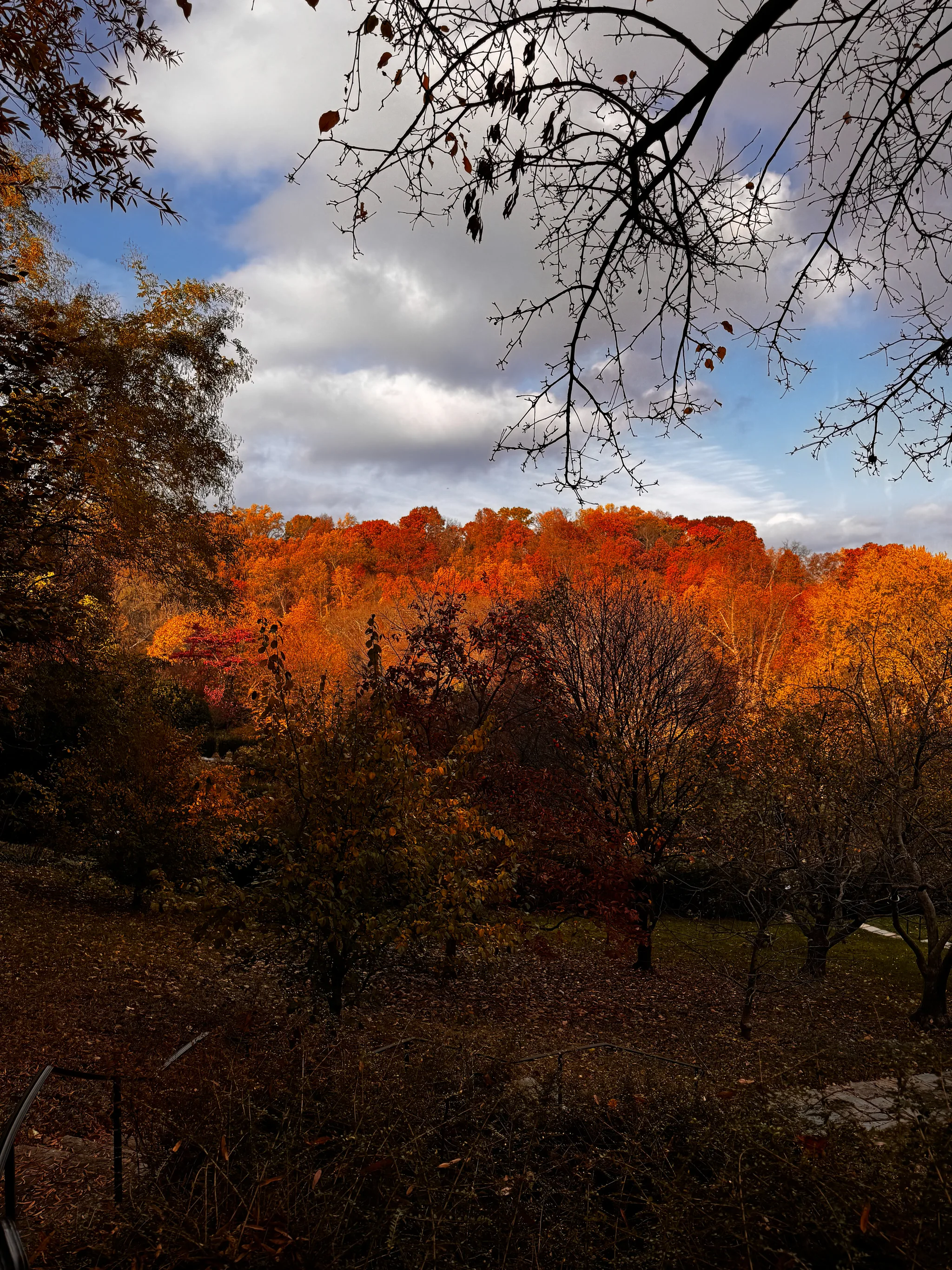 Dumbarton Oaks Gardens 6