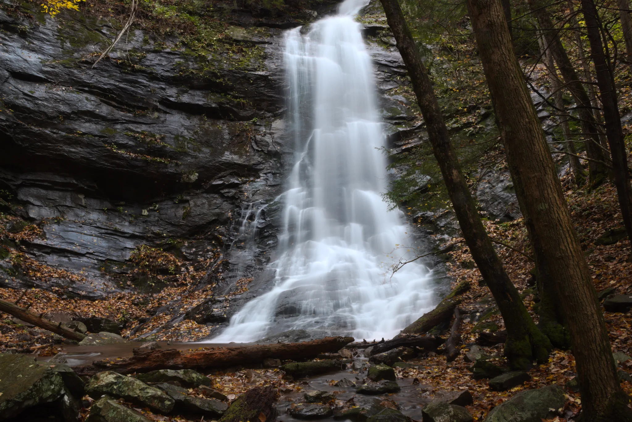 Sill Branch Falls