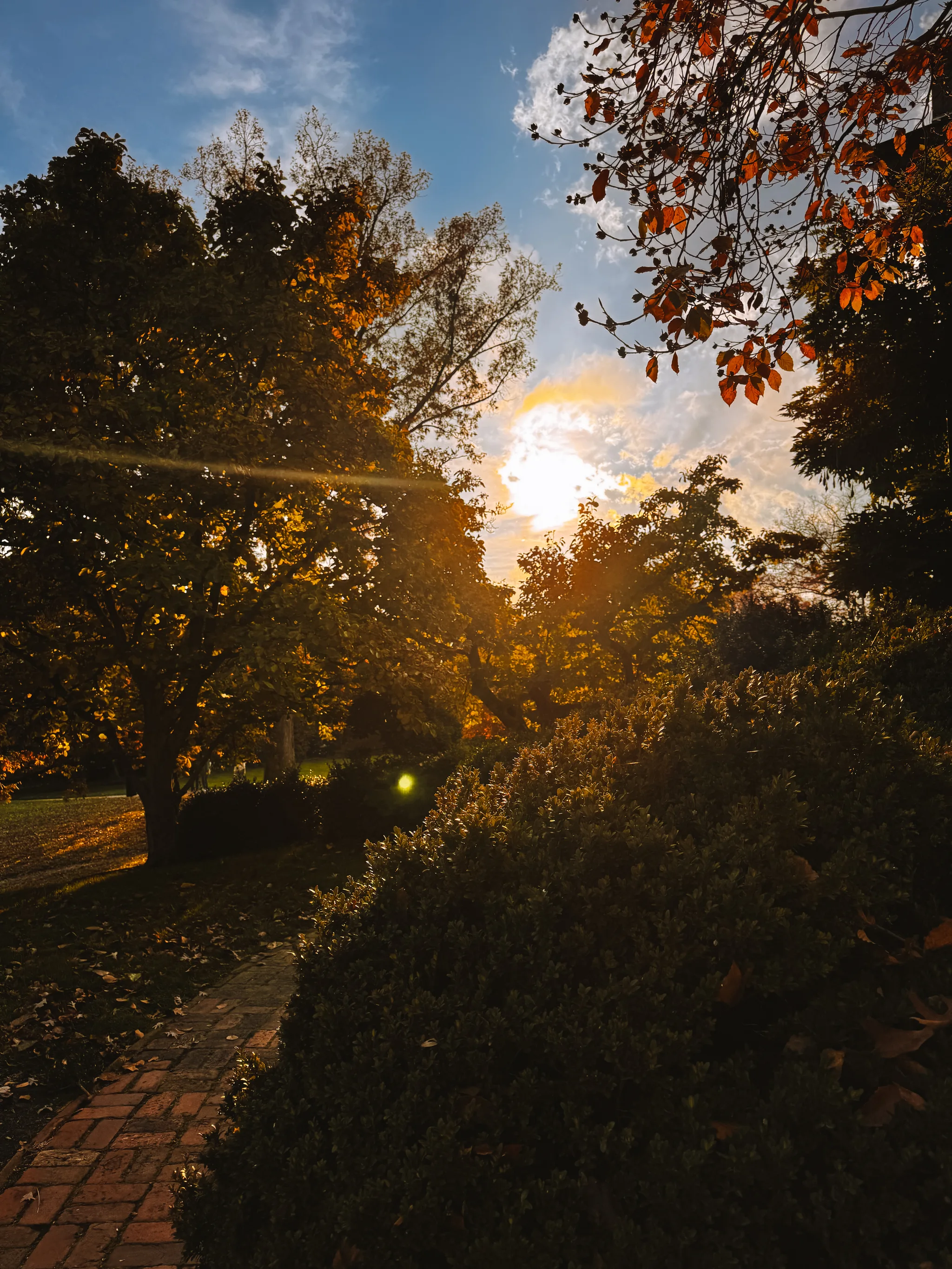 Dumbarton Oaks Gardens 17