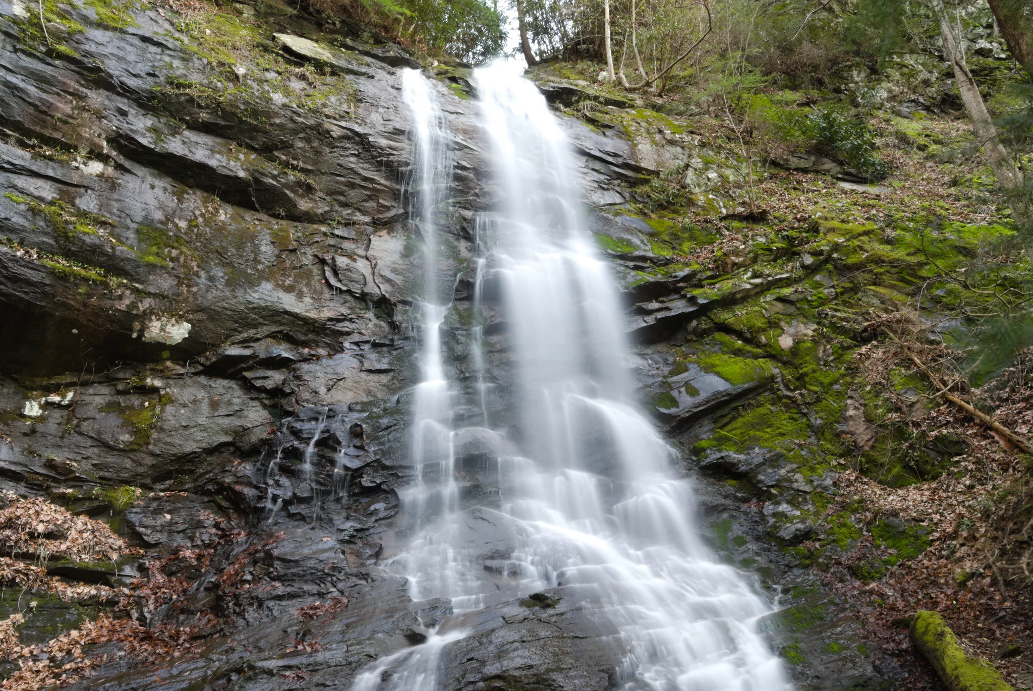 Sill Branch Falls