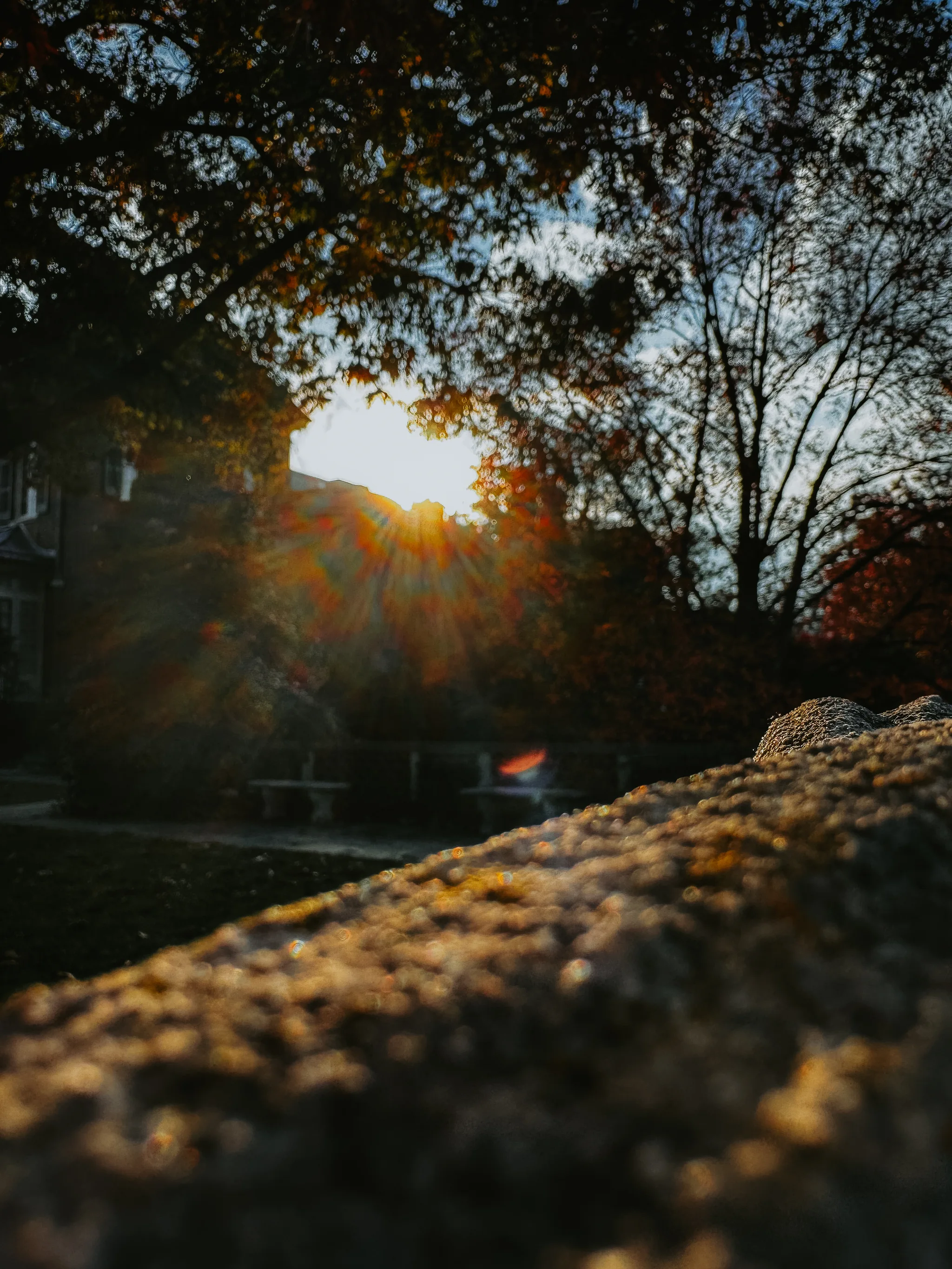 Dumbarton Oaks Gardens 16