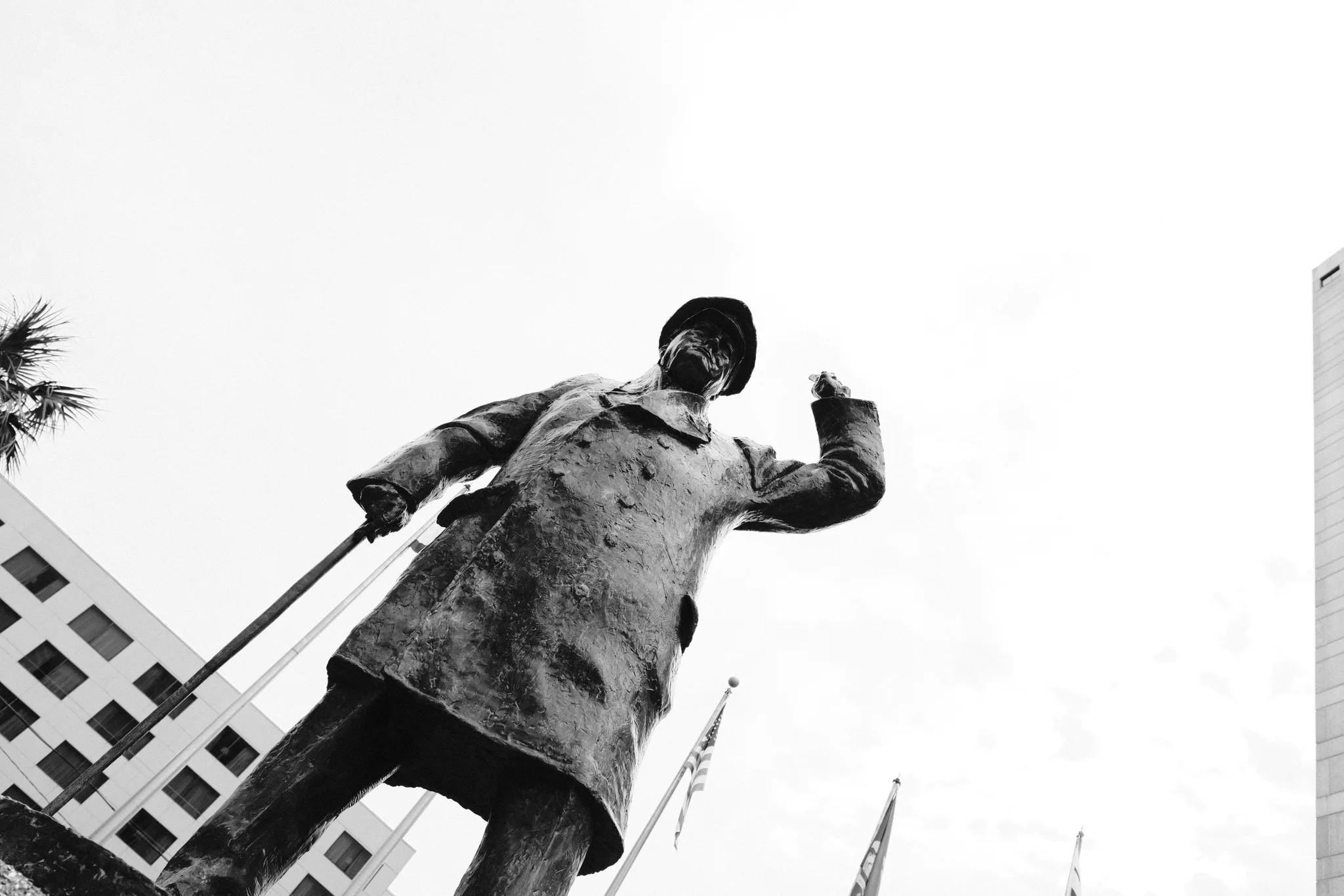 Watching Over the City