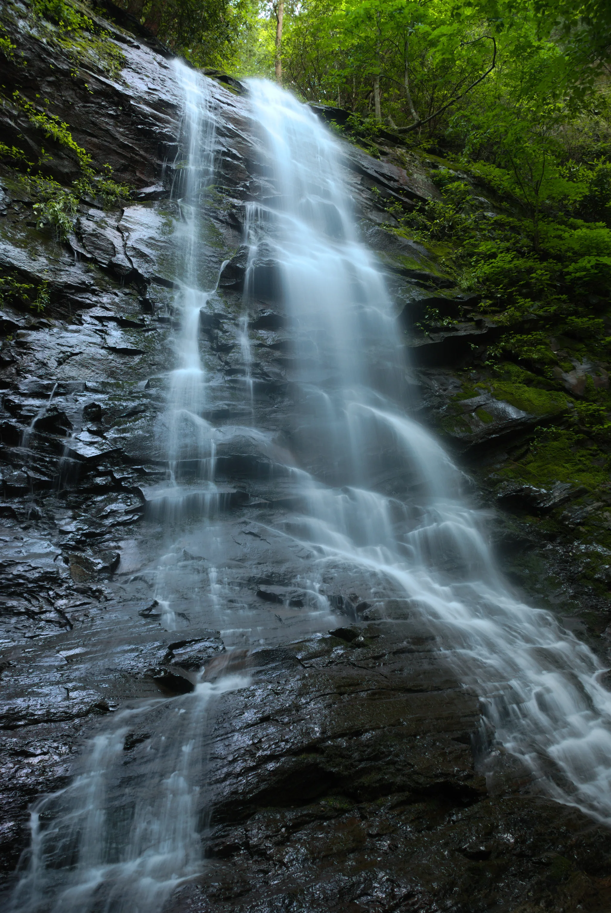 Sill Branch Falls