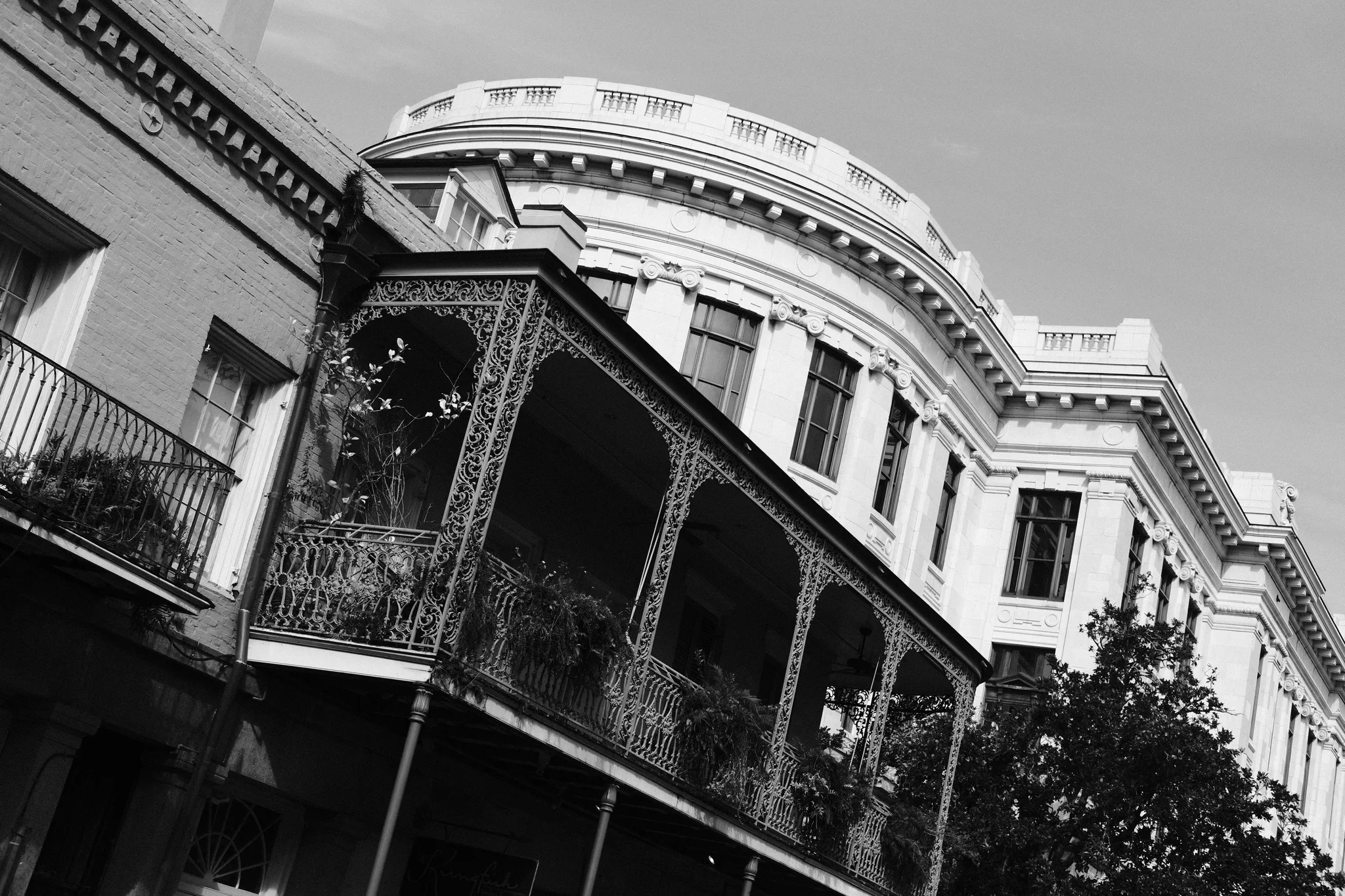 White House & Black Iron