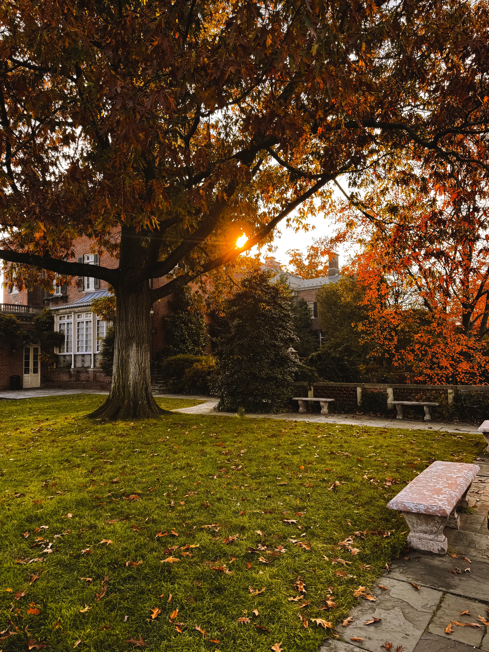 Dumbarton Oaks Gardens 15