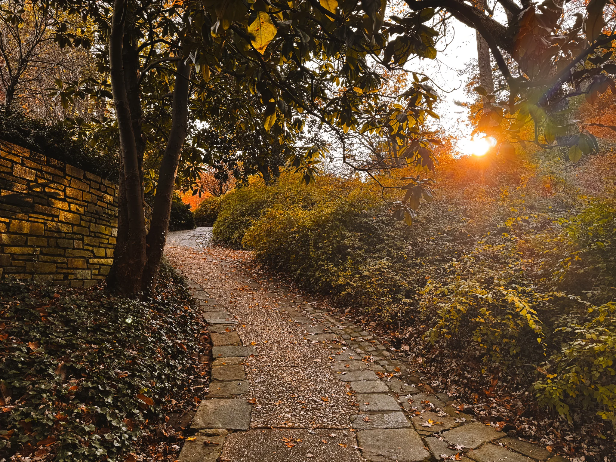Dumbarton Oaks Gardens 11