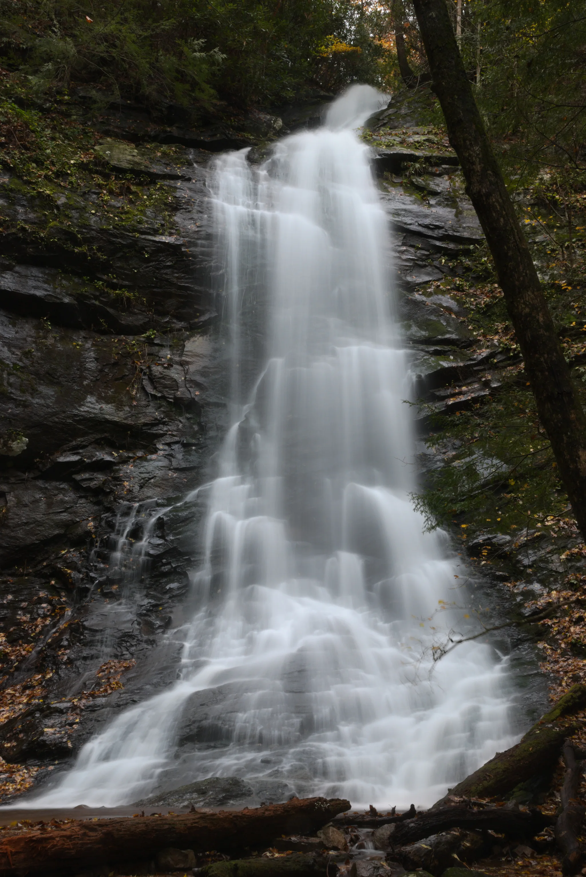 Sill Branch Falls