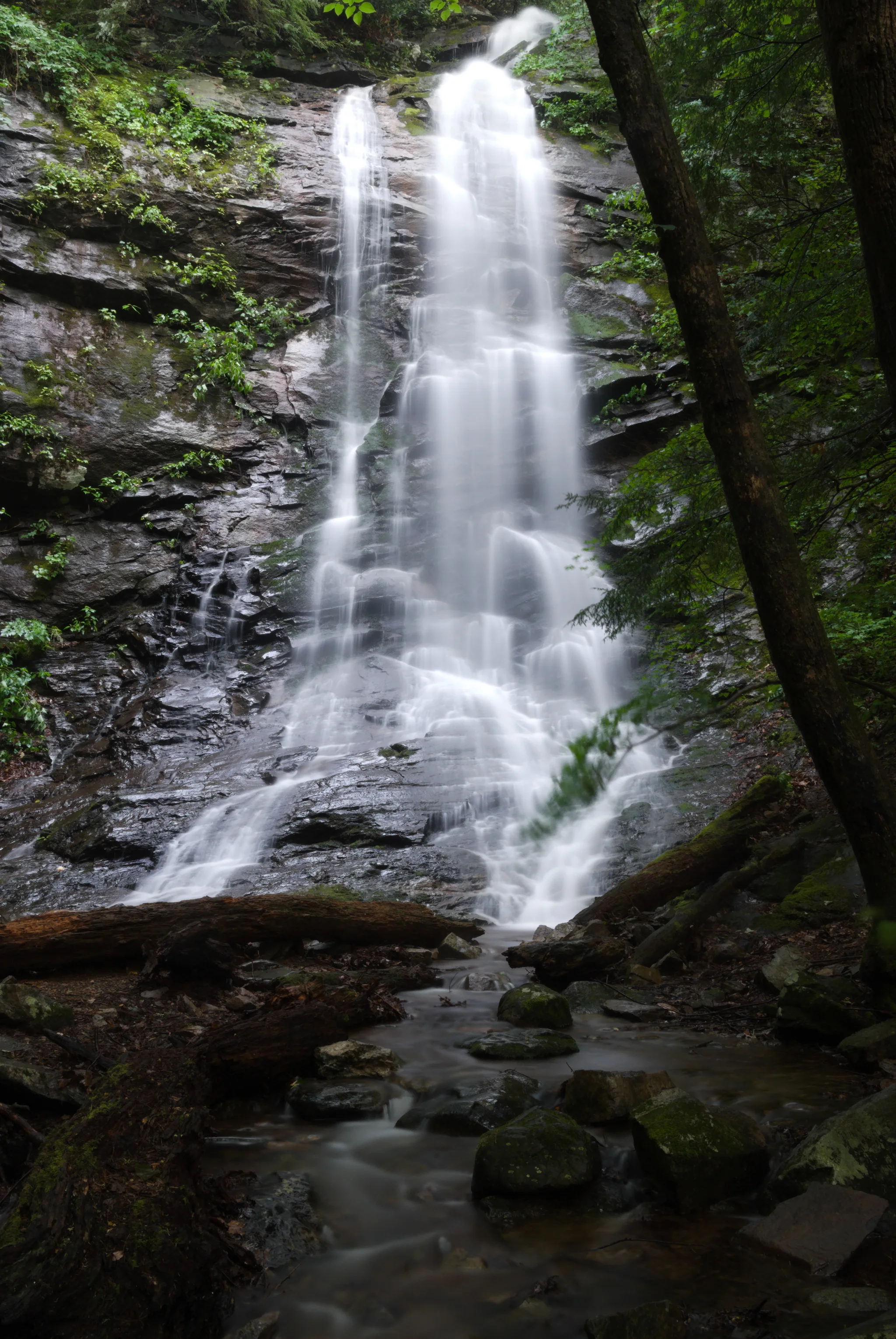 Sill Branch Falls