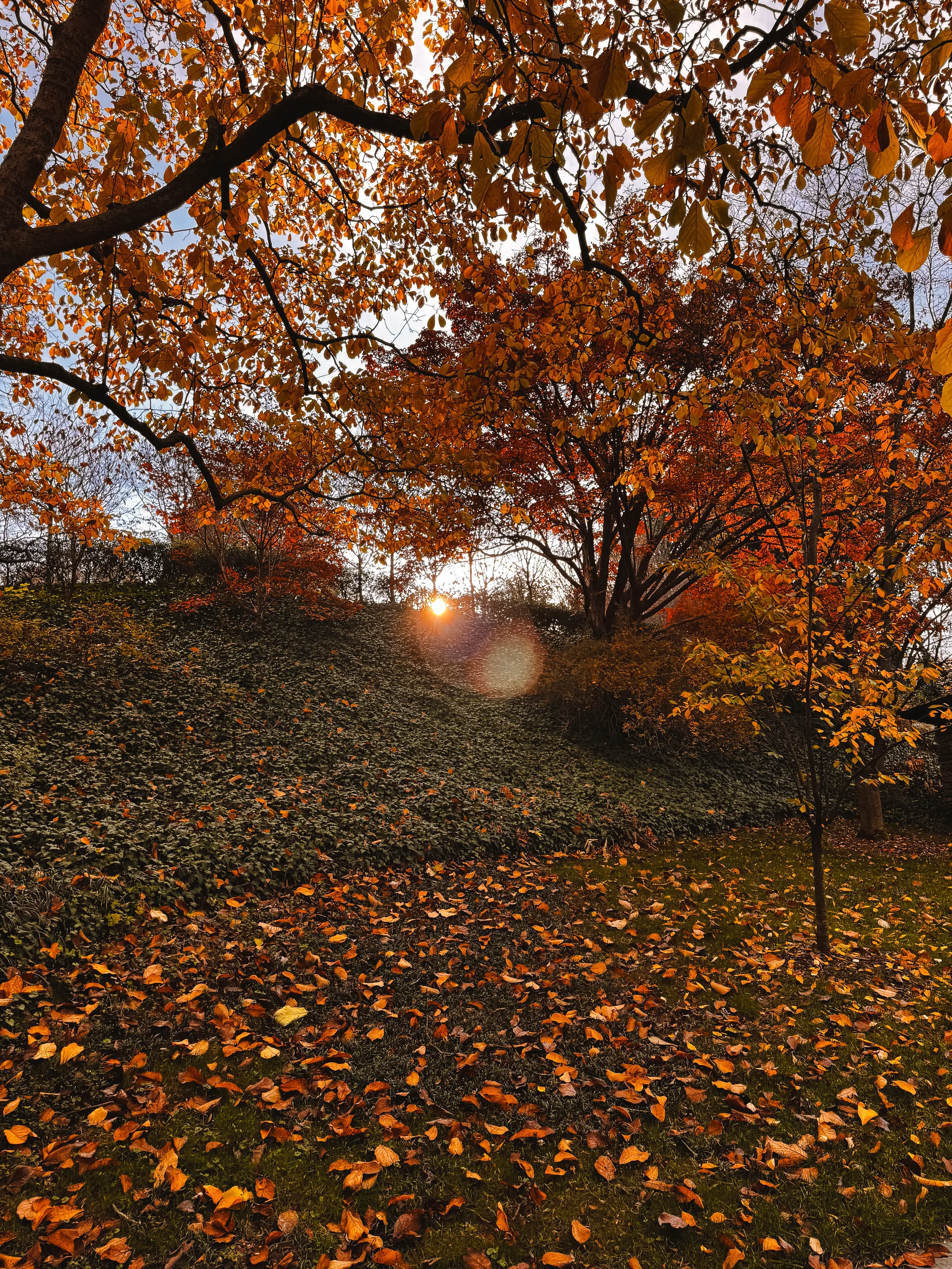 Dumbarton Oaks Gardens 10