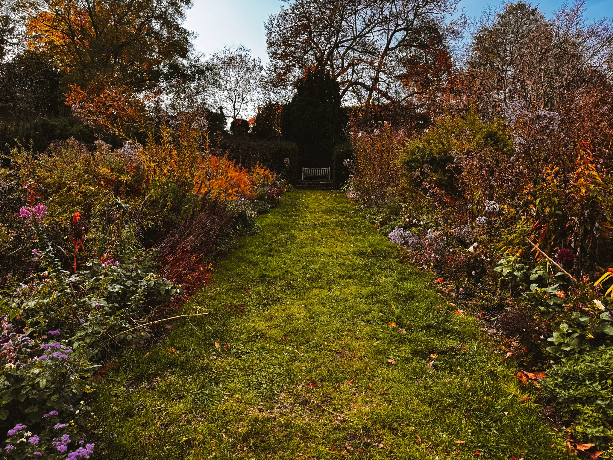 Dumbarton Oaks Gardens 7