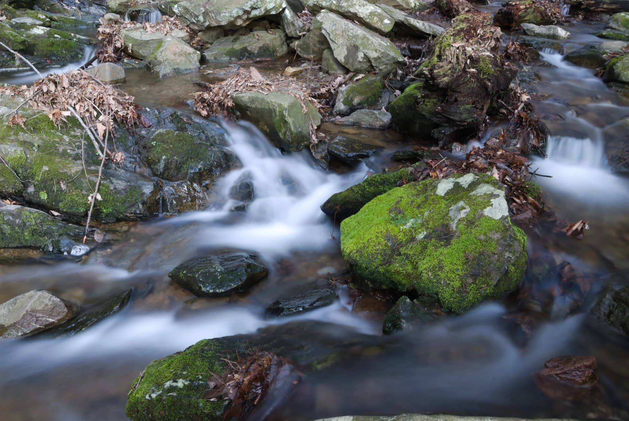 Sill Branch Falls